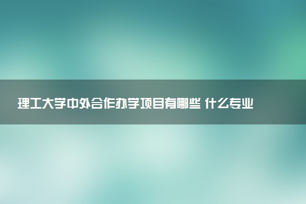 理工大学中外合作办学项目有哪些 什么专业好
