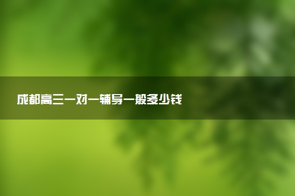 成都高三一对一辅导一般多少钱