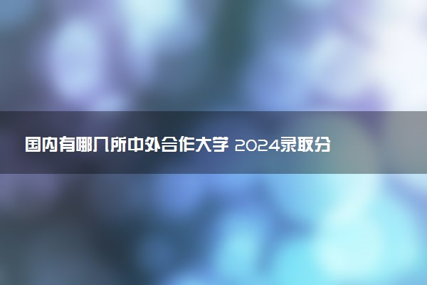 国内有哪几所中外合作大学 2024录取分数线多少