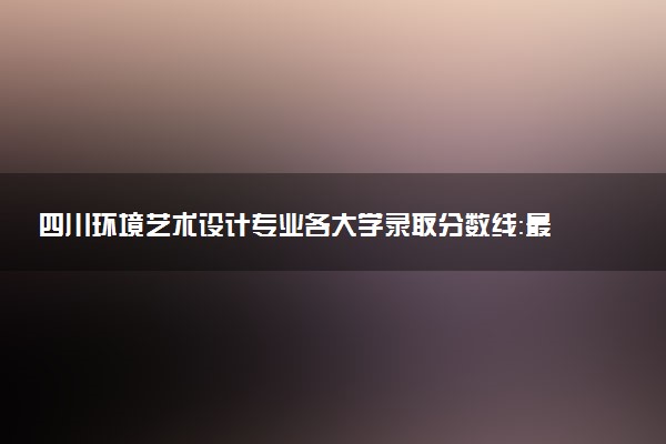 四川环境艺术设计专业各大学录取分数线：最低213分能上 开设院校及位次