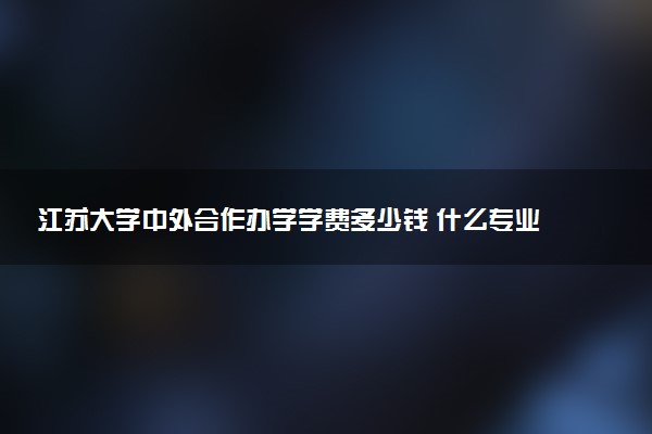 江苏大学中外合作办学学费多少钱 什么专业好
