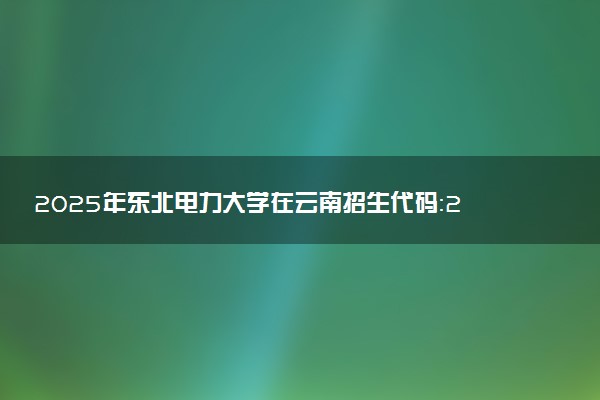2025年东北电力大学在云南招生代码：2204 专业代码及报考指南