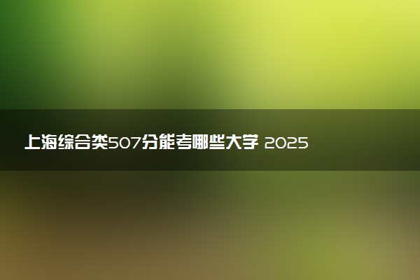 上海综合类507分能考哪些大学 2025考生稳上的大学名单