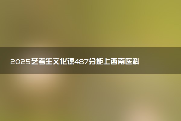 2025艺考生文化课487分能上西南医科大学吗