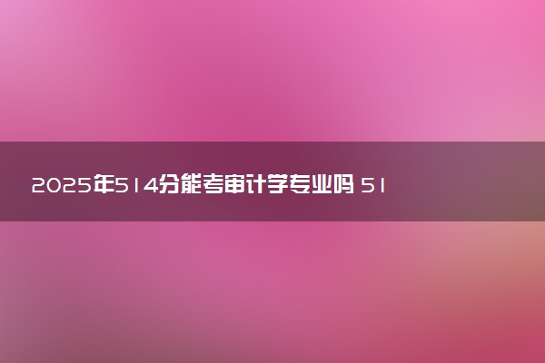 2025年514分能考审计学专业吗 514分审计学专业大学推荐