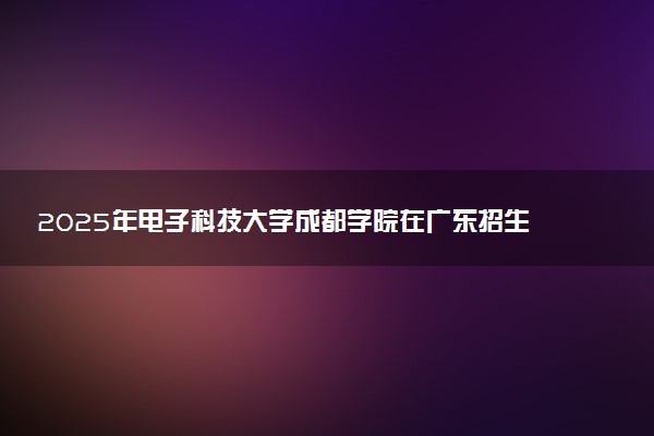 2025年电子科技大学成都学院在广东招生代码：13665 专业代码及报考指南