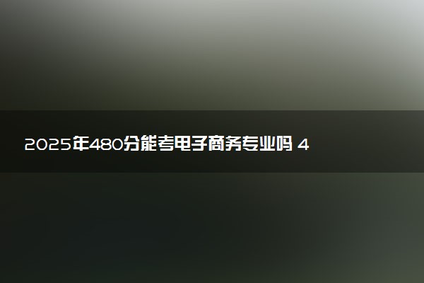 2025年480分能考电子商务专业吗 480分电子商务专业大学推荐
