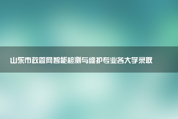 山东市政管网智能检测与维护专业各大学录取分数线：最低357分能上 开设院校及位次