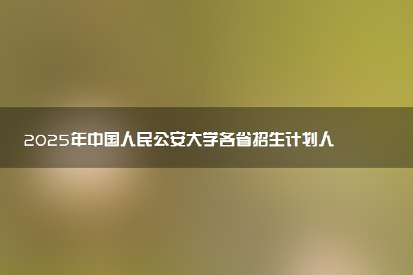 2025年中国人民公安大学各省招生计划人数及专业代码学费