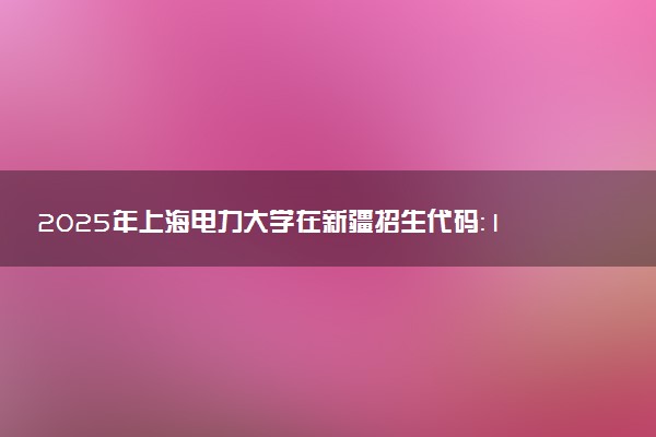 2025年上海电力大学在新疆招生代码：1204 专业代码及报考指南