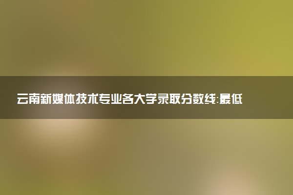 云南新媒体技术专业各大学录取分数线：最低532分能上 开设院校及位次
