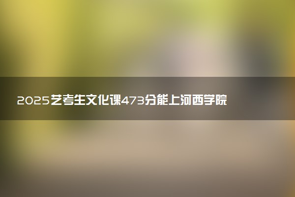 2025艺考生文化课473分能上河西学院吗