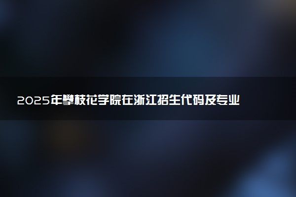 2025年攀枝花学院在浙江招生代码及专业代码 攀枝花学院浙江代码是多少？怎么查询？