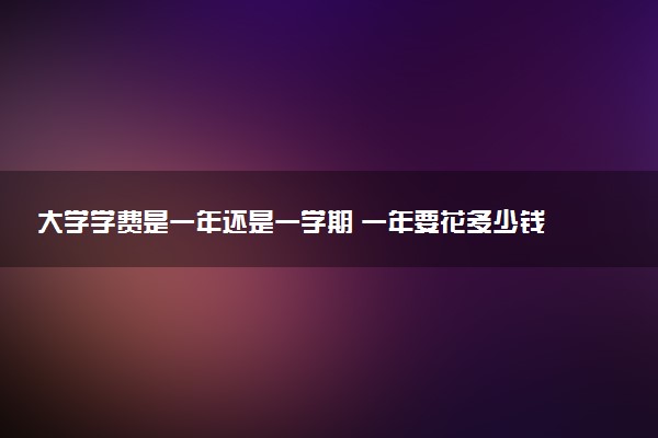 大学学费是一年还是一学期 一年要花多少钱