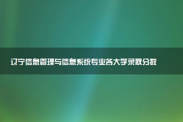 辽宁信息管理与信息系统专业各大学录取分数线：最低375分能上 开设院校及位次