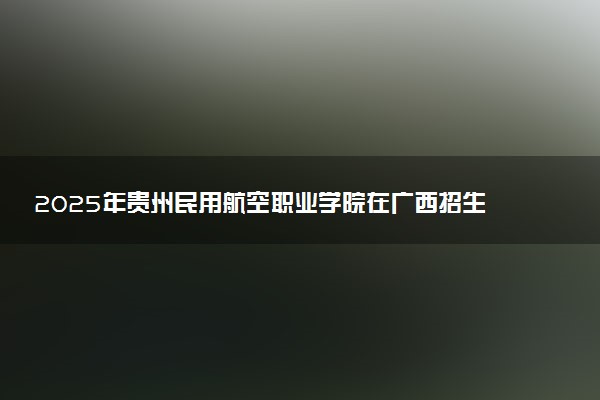 2025年贵州民用航空职业学院在广西招生代码及专业代码 贵州民用航空职业学院广西代码是多少？怎么查询？
