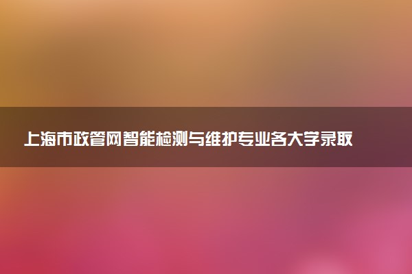 上海市政管网智能检测与维护专业各大学录取分数线：最低160分能上 开设院校及位次