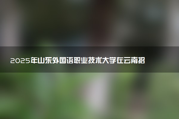 2025年山东外国语职业技术大学在云南招生代码：3763 专业代码及报考指南