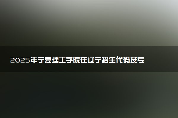 2025年宁夏理工学院在辽宁招生代码及专业代码 宁夏理工学院辽宁代码是多少？怎么查询？