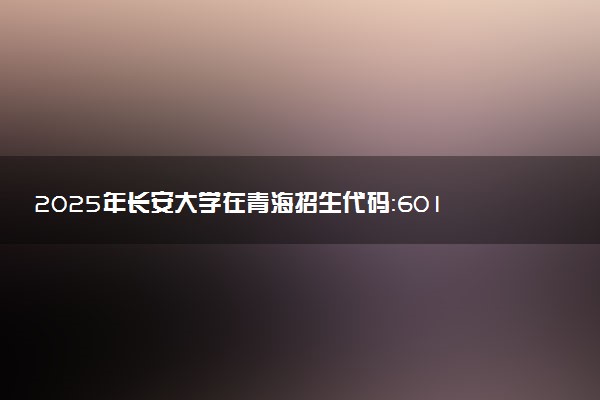 2025年长安大学在青海招生代码：6012 专业代码及报考指南