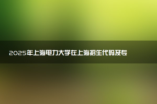 2025年上海电力大学在上海招生代码及专业代码 上海电力大学上海代码是多少？怎么查询？