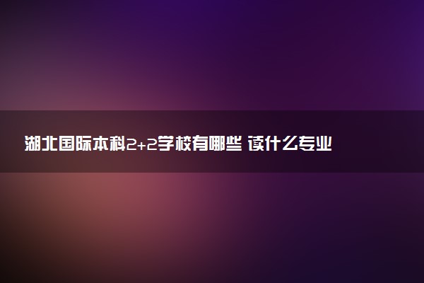湖北国际本科2+2学校有哪些 读什么专业好