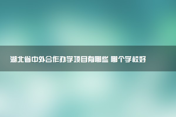 湖北省中外合作办学项目有哪些 哪个学校好