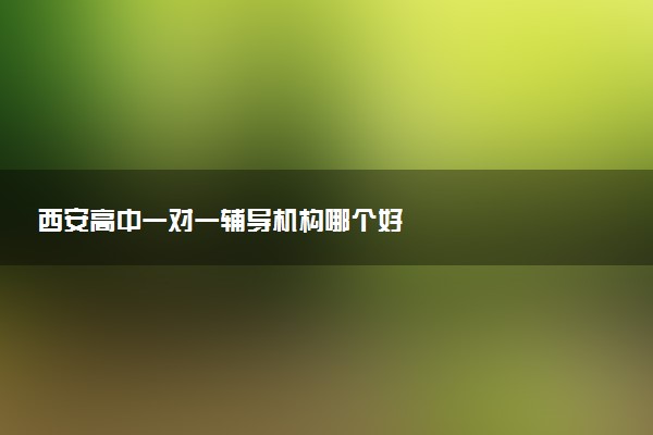 西安高中一对一辅导机构哪个好