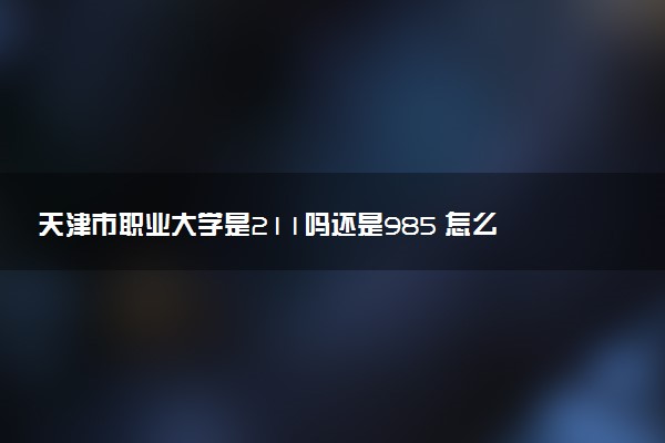 天津市职业大学是211吗还是985 怎么样值得读吗及学长学姐评价
