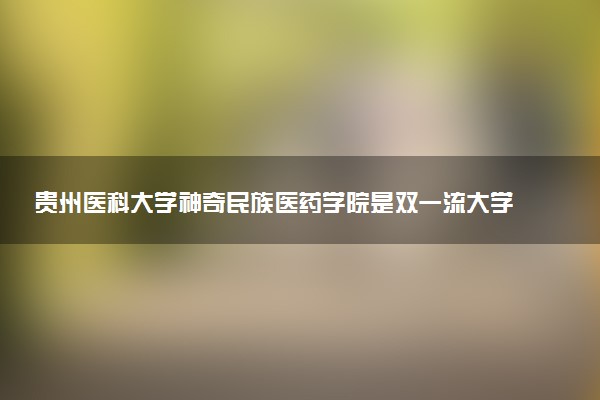 贵州医科大学神奇民族医药学院是双一流大学吗？一流学科有哪些及历年分数线位次