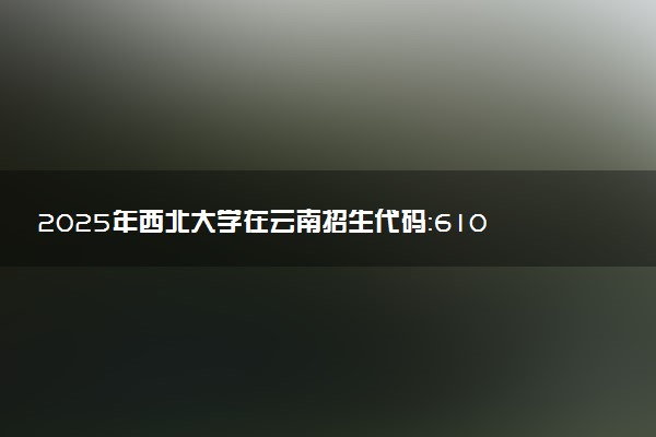 2025年西北大学在云南招生代码：6101 专业代码及报考指南