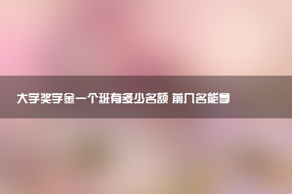 大学奖学金一个班有多少名额 前几名能拿