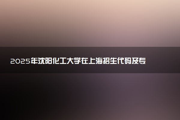 2025年沈阳化工大学在上海招生代码及专业代码 沈阳化工大学上海代码是多少？怎么查询？