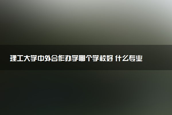 理工大学中外合作办学哪个学校好 什么专业好就业