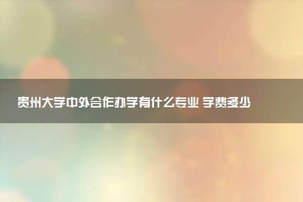 贵州大学中外合作办学有什么专业 学费多少钱