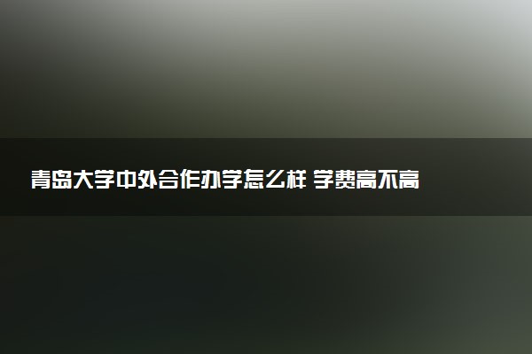 青岛大学中外合作办学怎么样 学费高不高