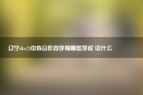 辽宁4+0中外合作办学有哪些学校 读什么专业好