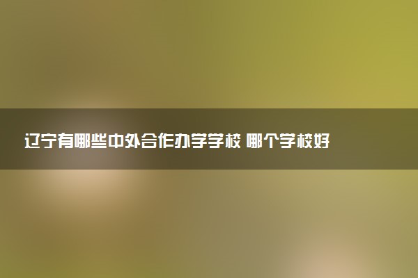 辽宁有哪些中外合作办学学校 哪个学校好