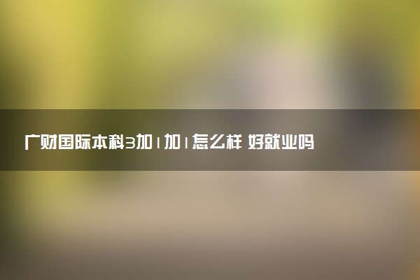 广财国际本科3加1加1怎么样 好就业吗