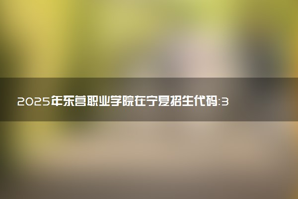 2025年东营职业学院在宁夏招生代码：3794 专业代码及报考指南
