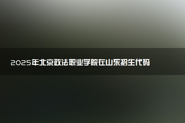 2025年北京政法职业学院在山东招生代码：C451 专业代码及报考指南