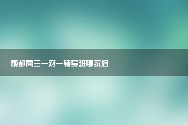 成都高三一对一辅导班哪家好