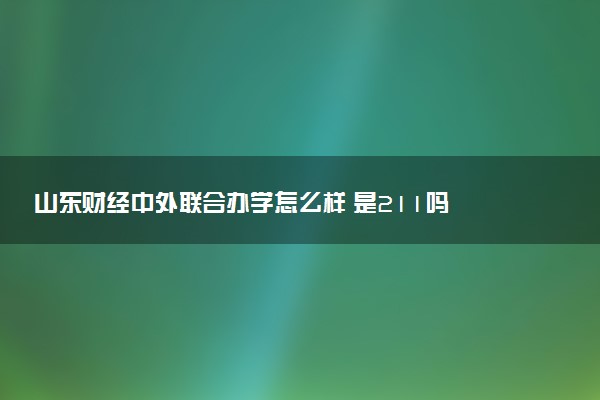 山东财经中外联合办学怎么样 是211吗
