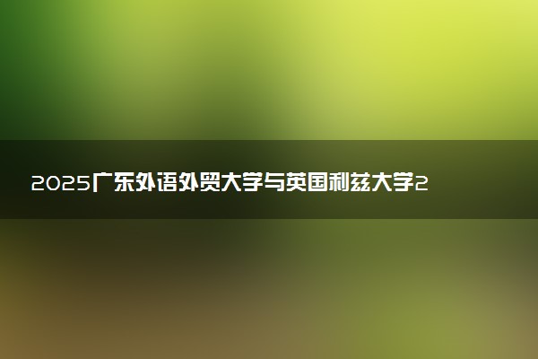 2025广东外语外贸大学与英国利兹大学2+0硕士如何申请