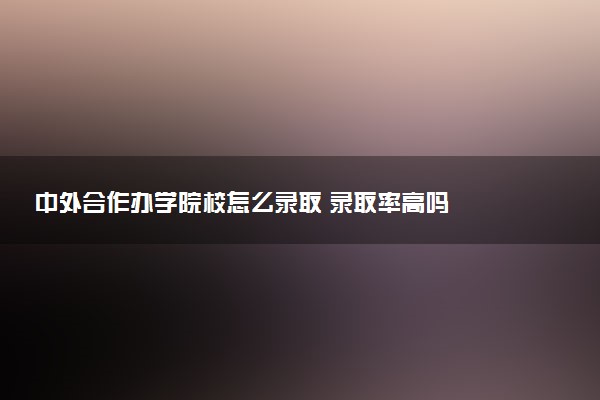 中外合作办学院校怎么录取 录取率高吗