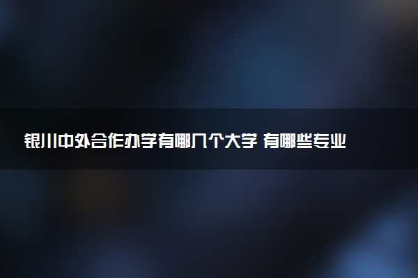 银川中外合作办学有哪几个大学 有哪些专业