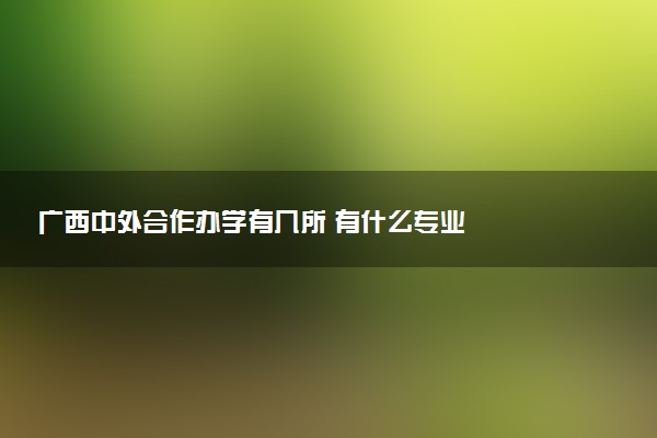 广西中外合作办学有几所 有什么专业