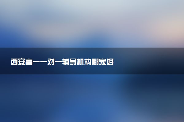 西安高一一对一辅导机构哪家好