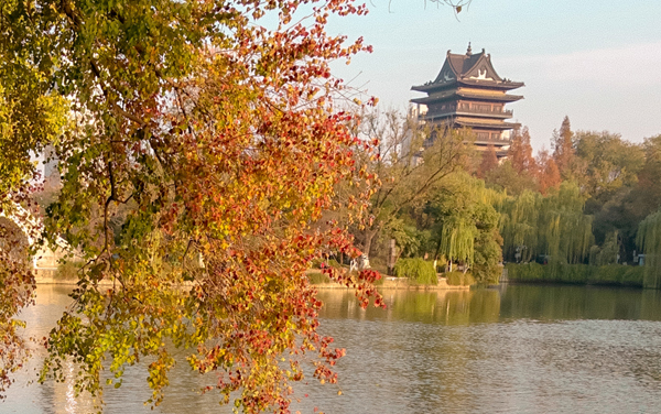 常州信息职业技术学院在湖北招生专业选科要求对照表 新高考各专业需要选考什么科目