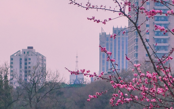 江苏师范大学各专业组在山西录取分数线 2026山西考生多少分能上江苏师范大学